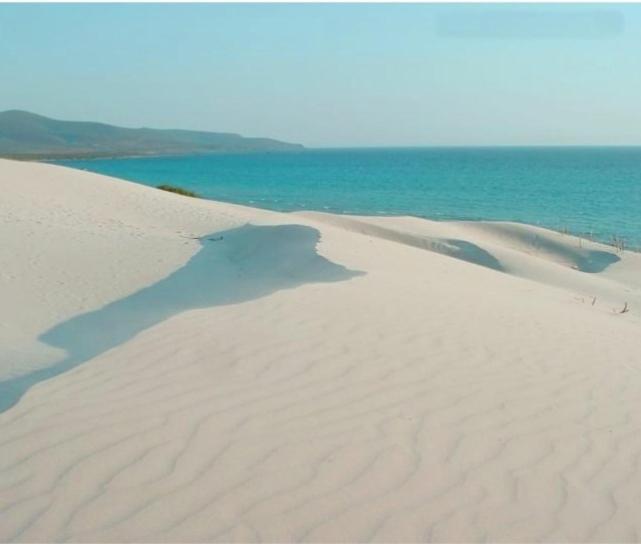 Villa Panoramica Immersa Nel Verde Porto Pino Zewnętrze zdjęcie